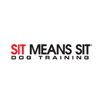 Best Interactive Dog Toys  Sit Means Sit Dog Training Pueblo