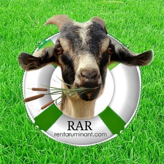 Rent-A-Ruminant