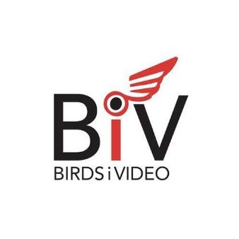 Birds I Video