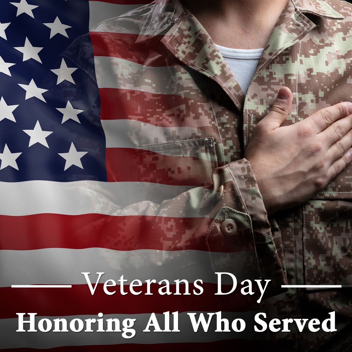 Veterans Day                  Honoring All Who Served