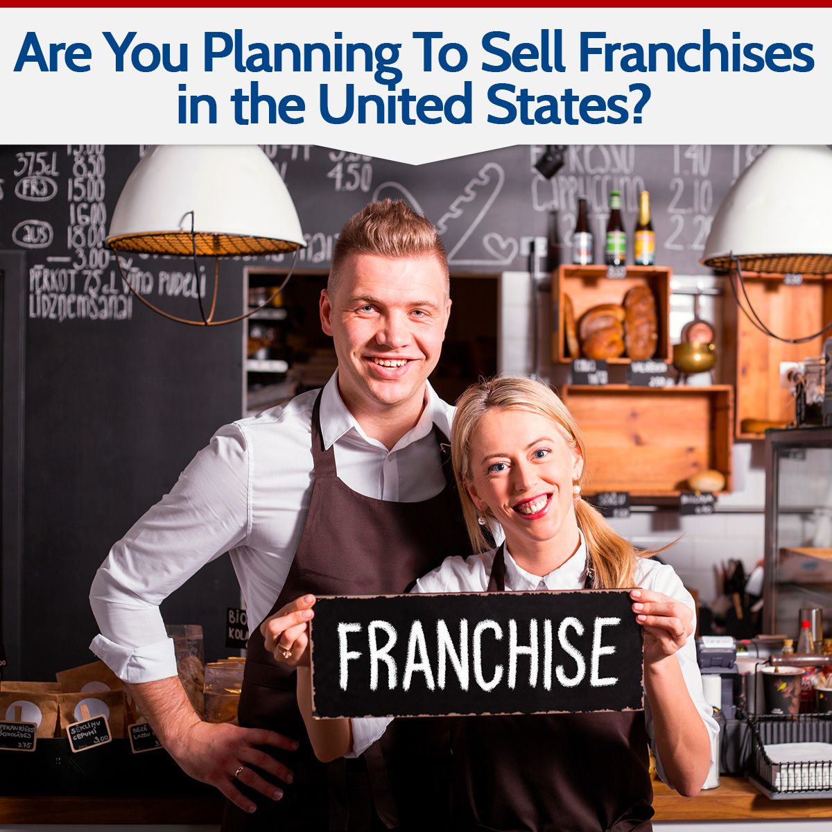 Are You Planning To Sell Franchises in the United States?
