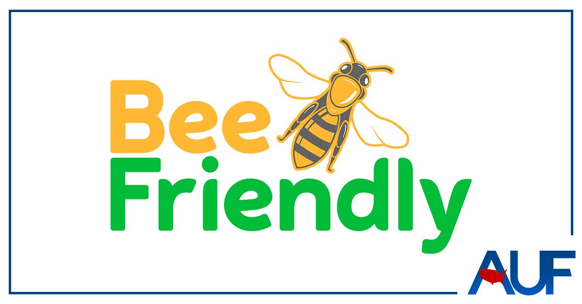Multiple Pictures: Bee Friendly